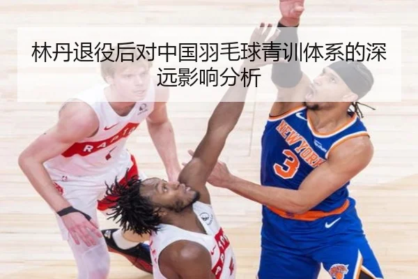 林丹退役后对中国羽毛球青训体系的深远影响分析